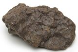 Authentic Chondrite Meteorites (5 to 10 Grams) - Western Sahara Desert - Photo 4